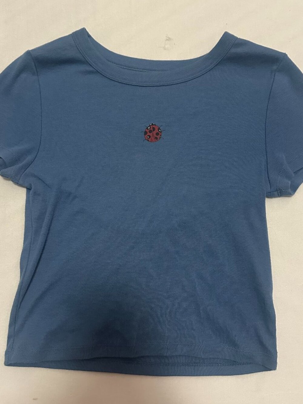 American Eagle Women's Blue Ladybug Graphic Tee Size S